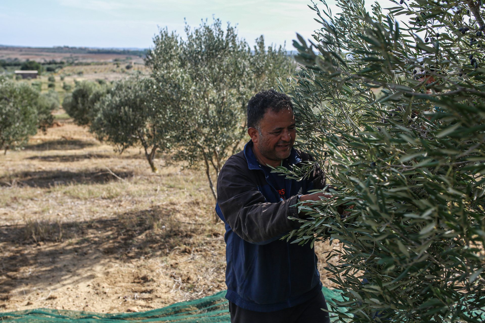 Picking by hand