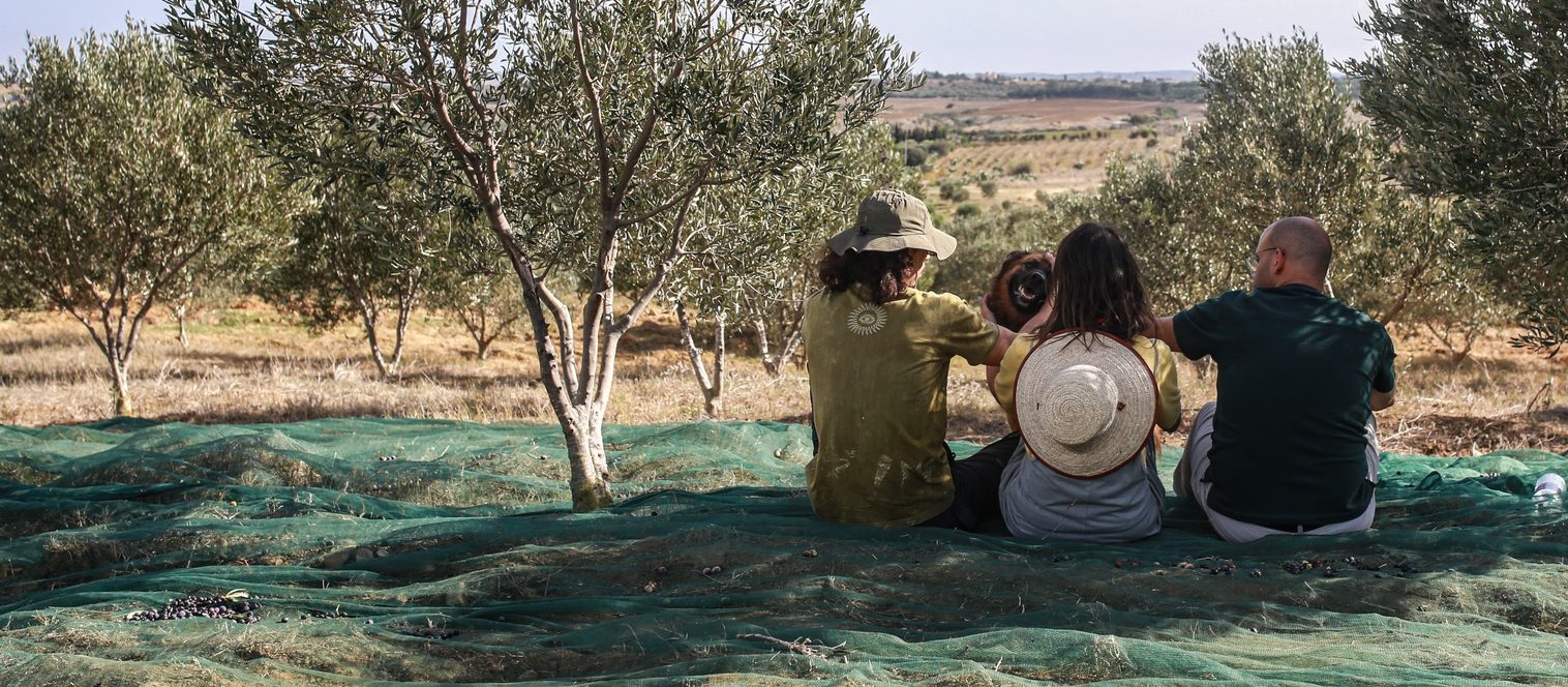 The Prana family resting in the olive groves at Bir Drassen, Cap Bon